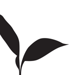 vine_ripe_logo-02_150w